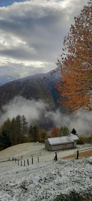 Graziosa, Casetta In Valgerola Rasura Εξωτερικό φωτογραφία