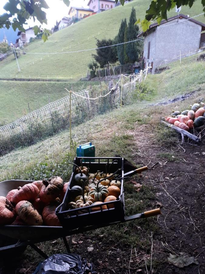 Graziosa, Casetta In Valgerola Rasura Εξωτερικό φωτογραφία